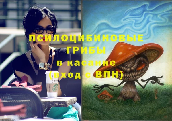прущая мука Алзамай