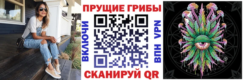 купить закладку  Лахденпохья  Галлюциногенные грибы мухоморы 